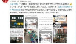 赣州高校爆料新闻报道视频,揭秘校园热点事件，视频曝光引关注